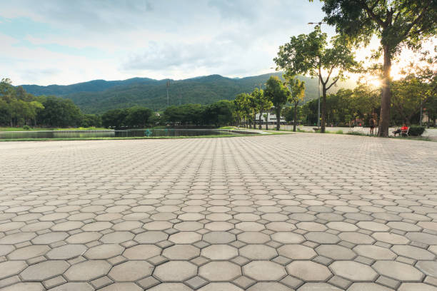 Best Professional Driveway Pavers  in Vandercook Lake, MI
